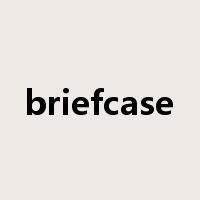 briefcase是什么意思