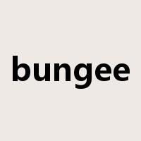 bungee是什么意思