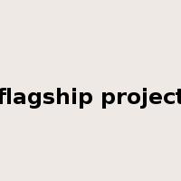 flagship project是什么意思