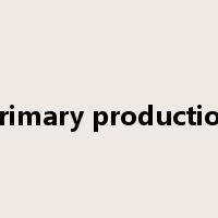 primary production是什么意思