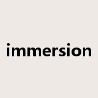 immersion是什么意思