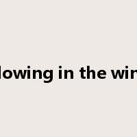 blowing in the wind是什么意思