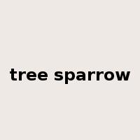 tree sparrow是什么意思