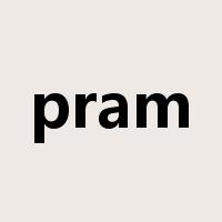 pram是什么意思