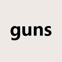 guns是什么意思