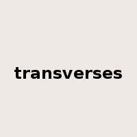 transverses是什么意思