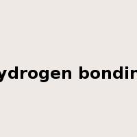 hydrogen bonding是什么意思