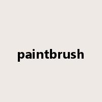 paintbrush是什么意思