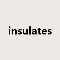 insulates是什么意思