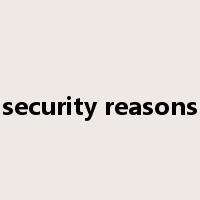 security reasons是什么意思