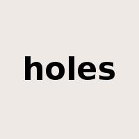 holes是什么意思