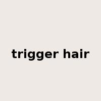 trigger hair是什么意思