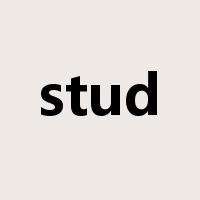 stud是什么意思