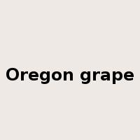 Oregon grape是什么意思