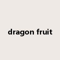 dragon fruit是什么意思