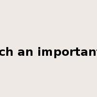 such an important…是什么意思