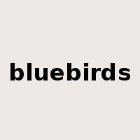 bluebirds是什么意思