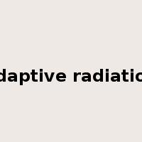 adaptive radiation是什么意思