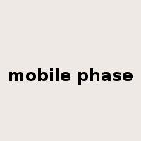 mobile phase是什么意思