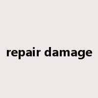 repair damage是什么意思