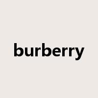 burberry是什么意思