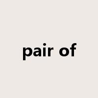 pair of是什么意思