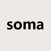 soma是什么意思