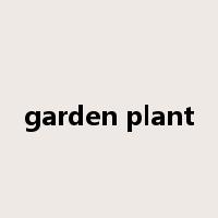 garden plant是什么意思
