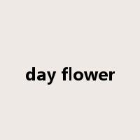 day flower是什么意思