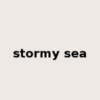 stormy sea是什么意思