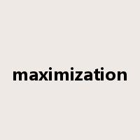 maximization是什么意思