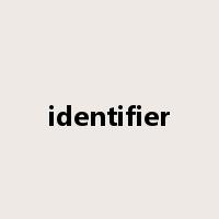 identifier是什么意思