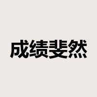 成绩斐然是什么意思