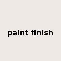 paint finish是什么意思