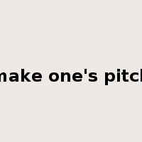 make one's pitch是什么意思