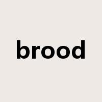 brood是什么意思
