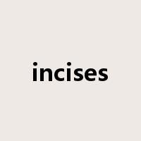 incises是什么意思