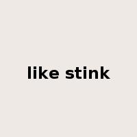 like stink是什么意思