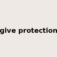 give protection是什么意思