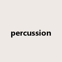 percussion是什么意思
