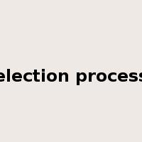 election process是什么意思