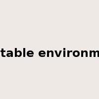 unstable environment是什么意思