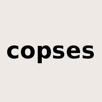 copses是什么意思