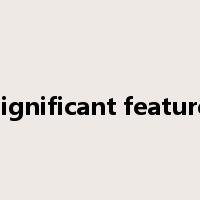 significant feature是什么意思