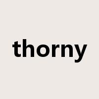 thorny是什么意思