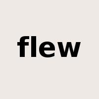flew是什么意思