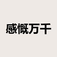 感慨万千是什么意思