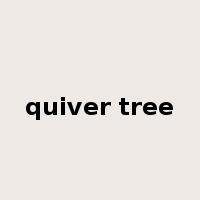 quiver tree是什么意思