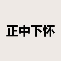 正中下怀是什么意思