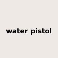 water pistol是什么意思